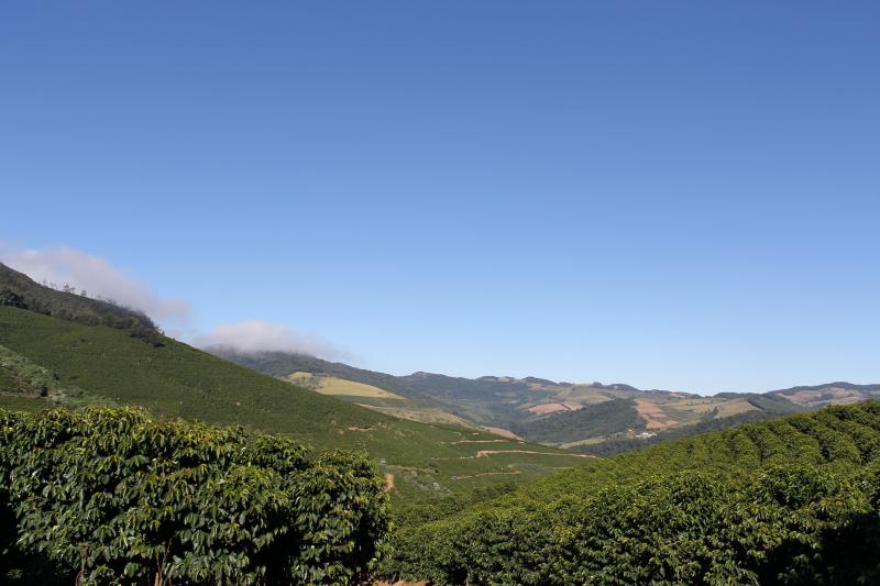 2024 Summer Menu and Green Coffee Outlook