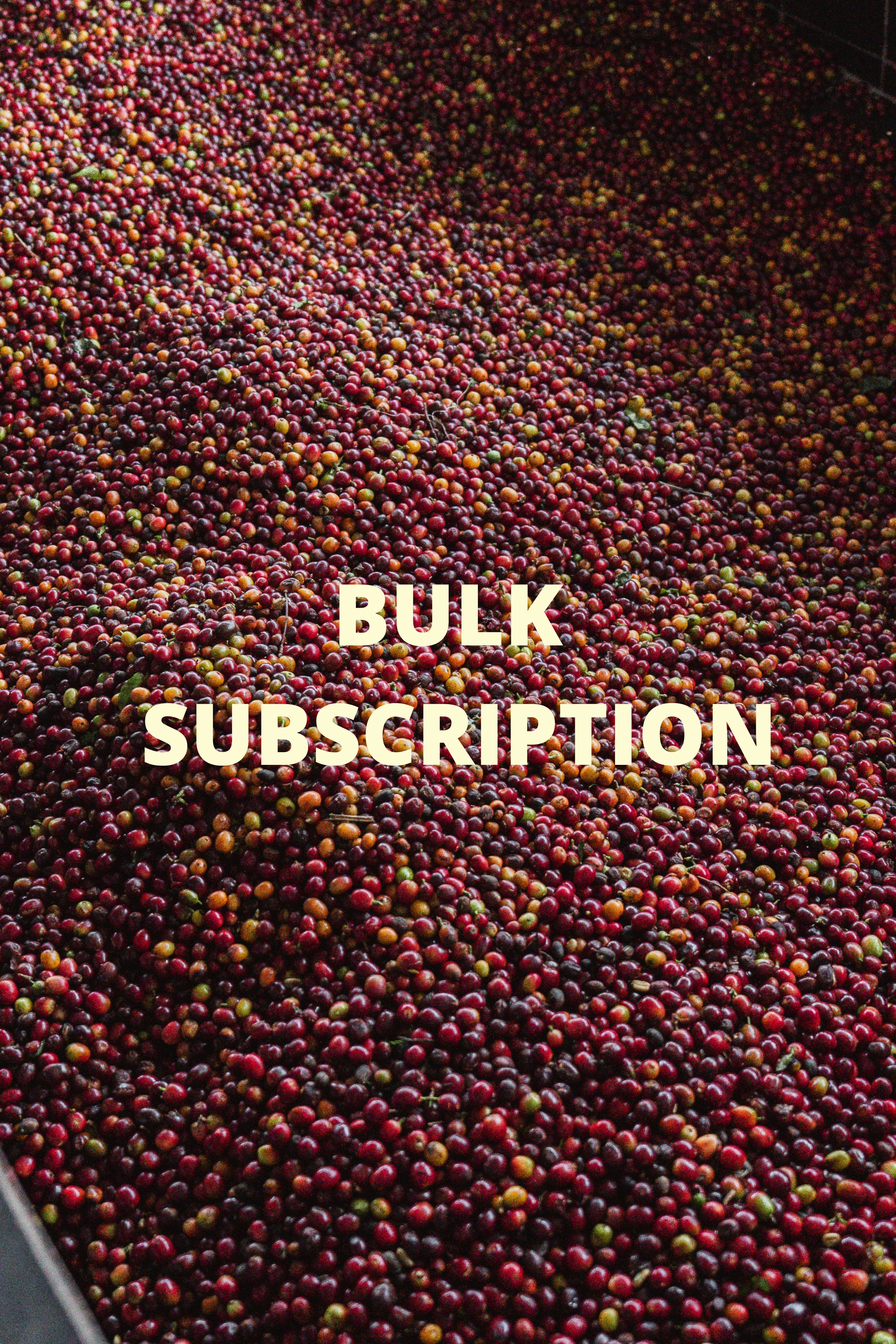 Bulk Subscription - Office or Family Plan
