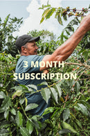 3 Month Gift Subscription
