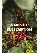 6 Month Gift Subscription