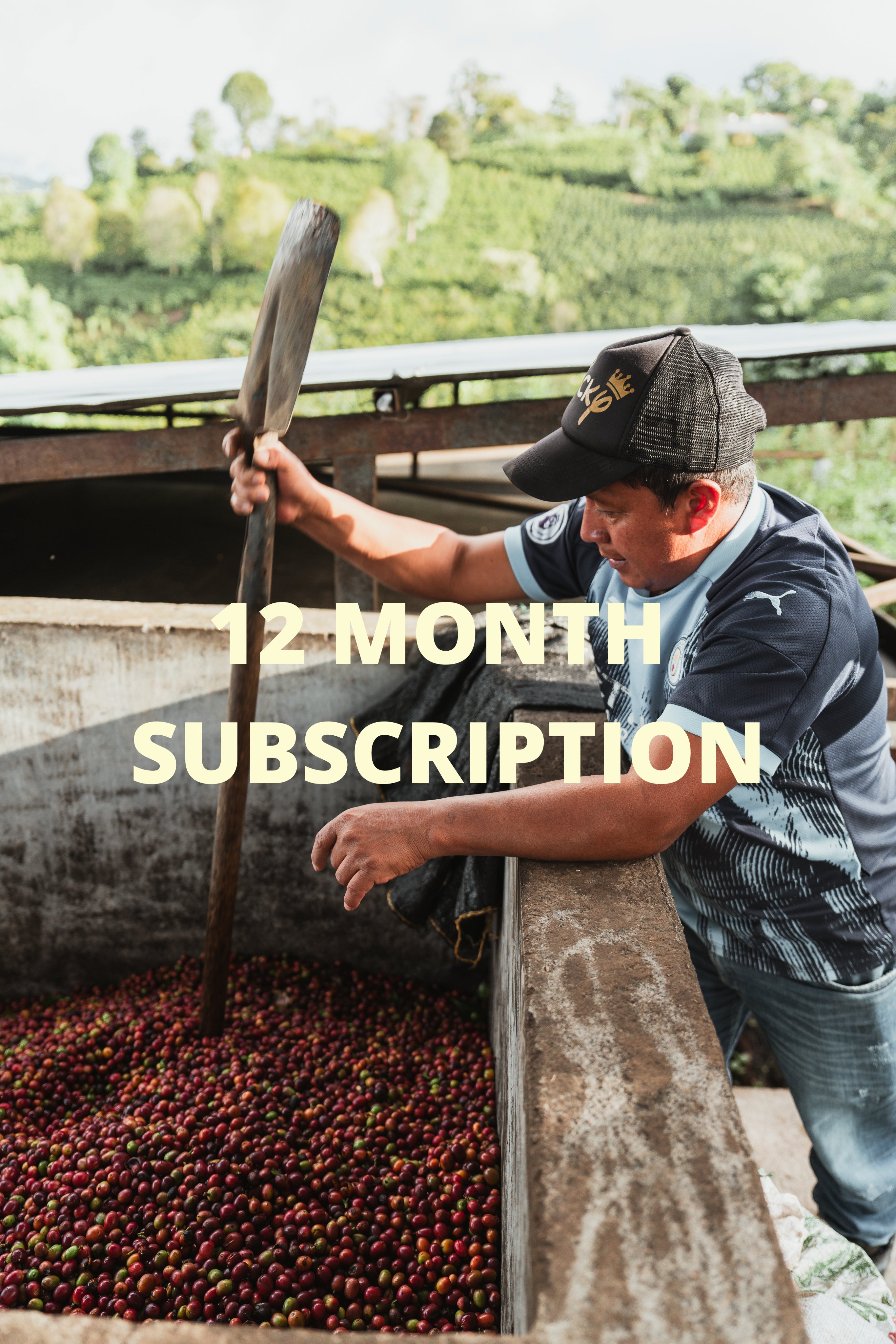 12 Month Gift Subscription