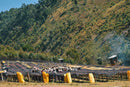 Solomon Hameso Boku Sidama Ethiopia