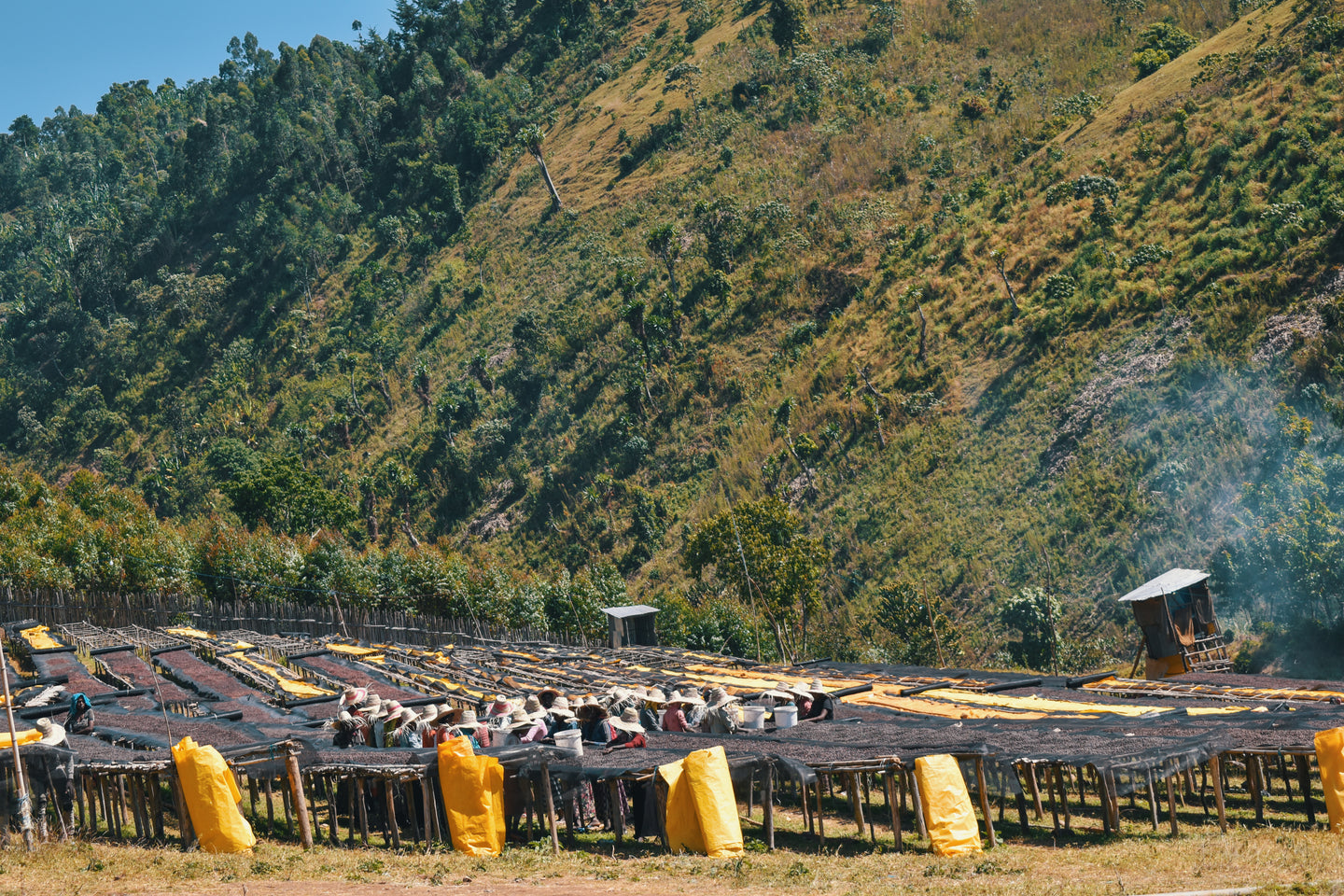Solomon Hameso Boku Sidama Ethiopia