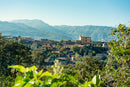 Decaf Guatemala Swiss Water Process
