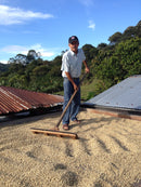 Single Origin | Huila, Colombia Sugarcane Decaf