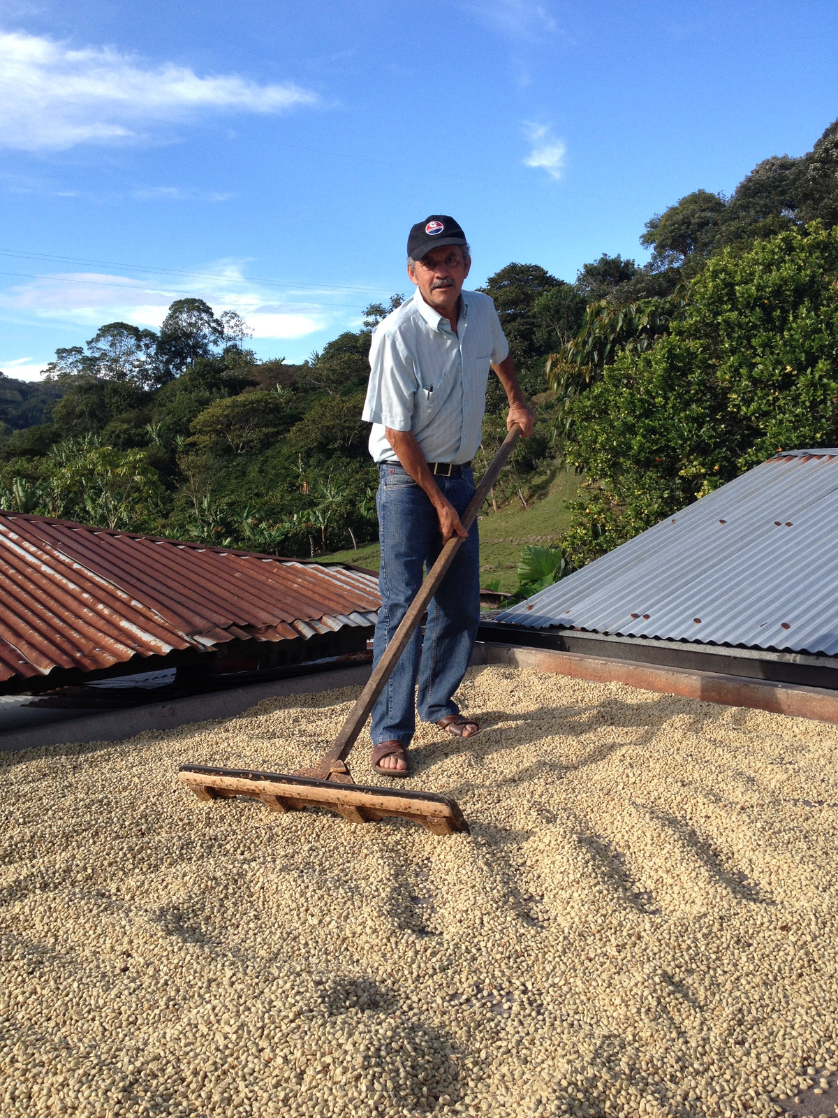 Single Origin | Huila, Colombia Sugarcane Decaf